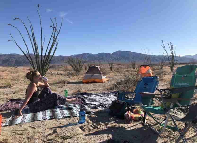 Camping at Anza Borrego State Park Everything You Need to Know Ready