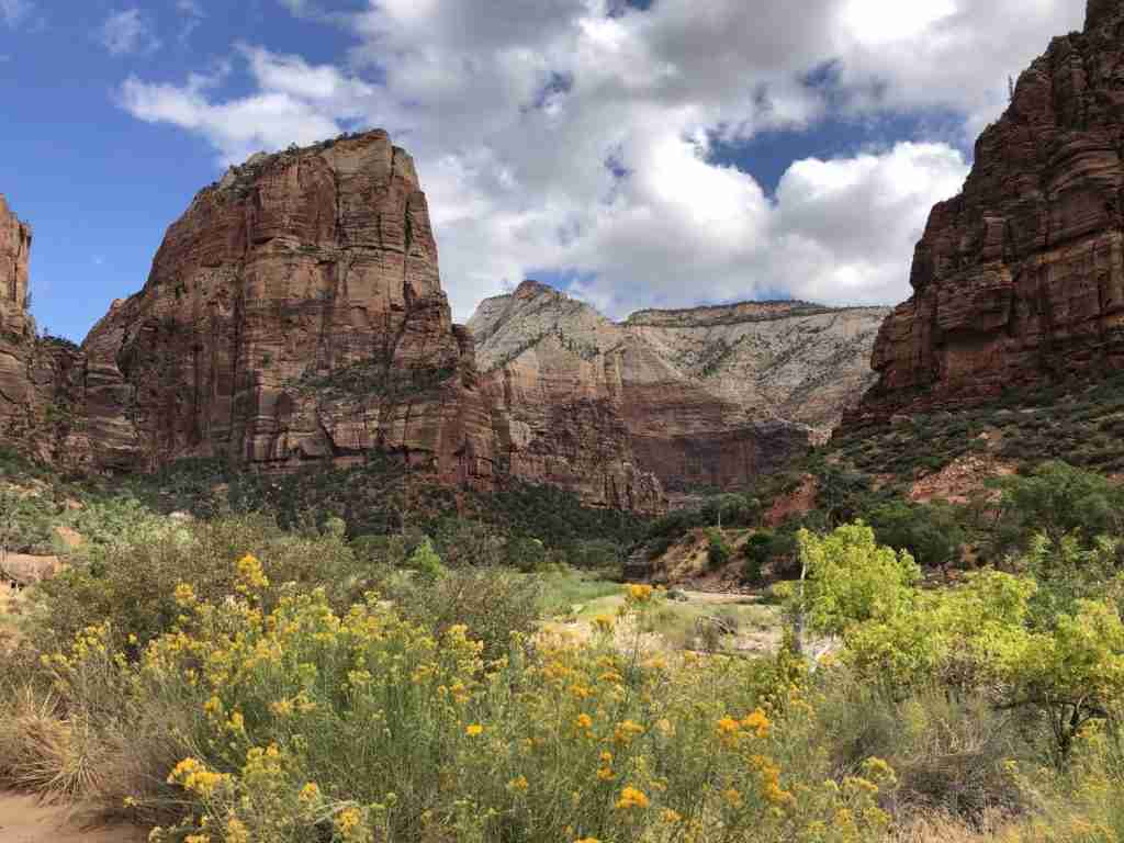zion national park