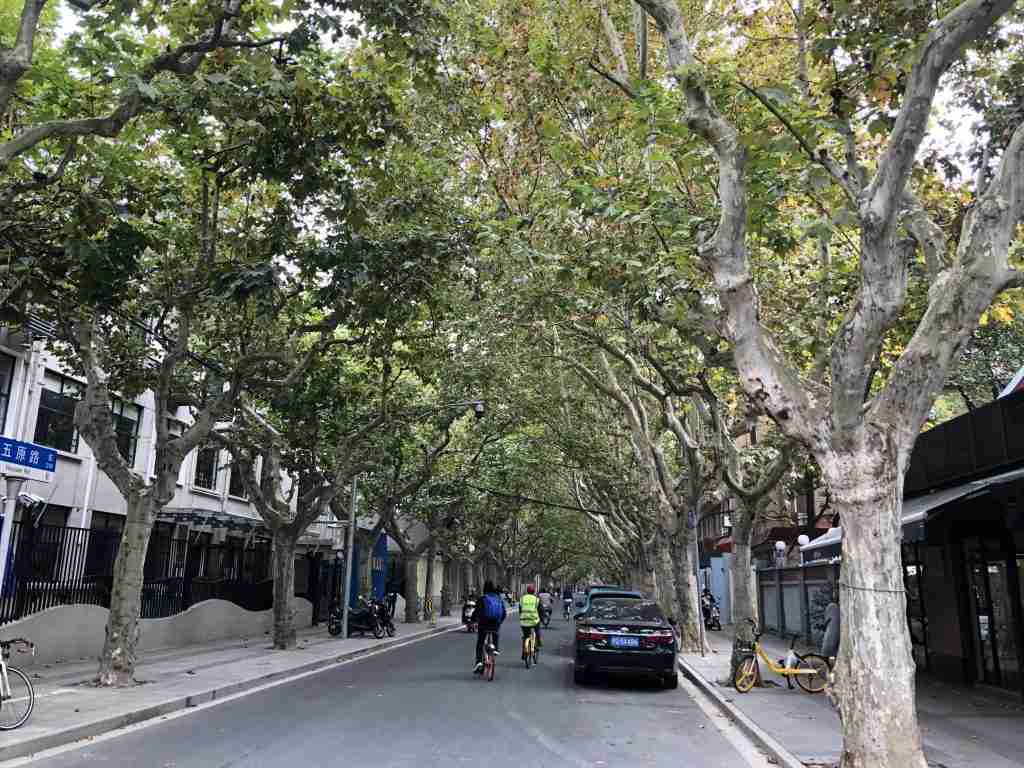 french concession shanghai
