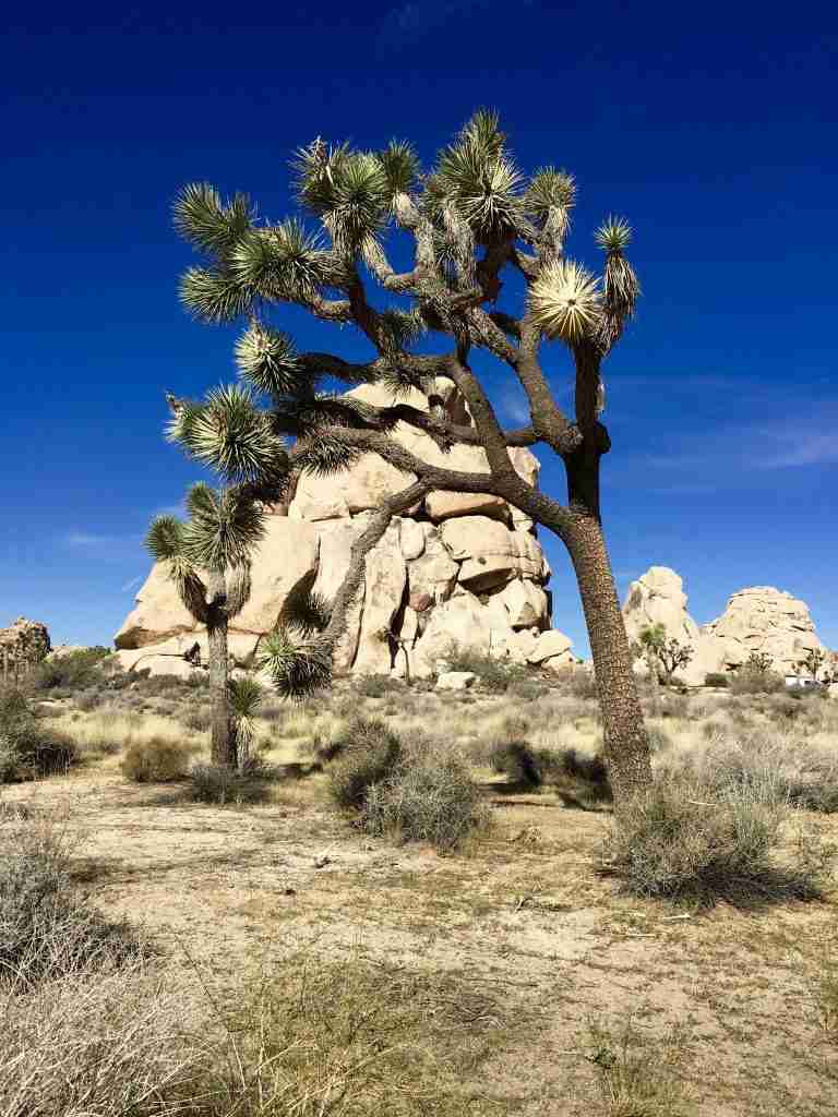 california weekend trips