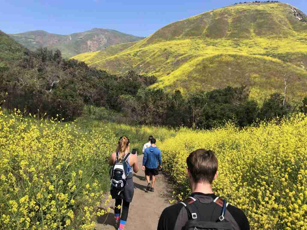 best hikes in los angeles