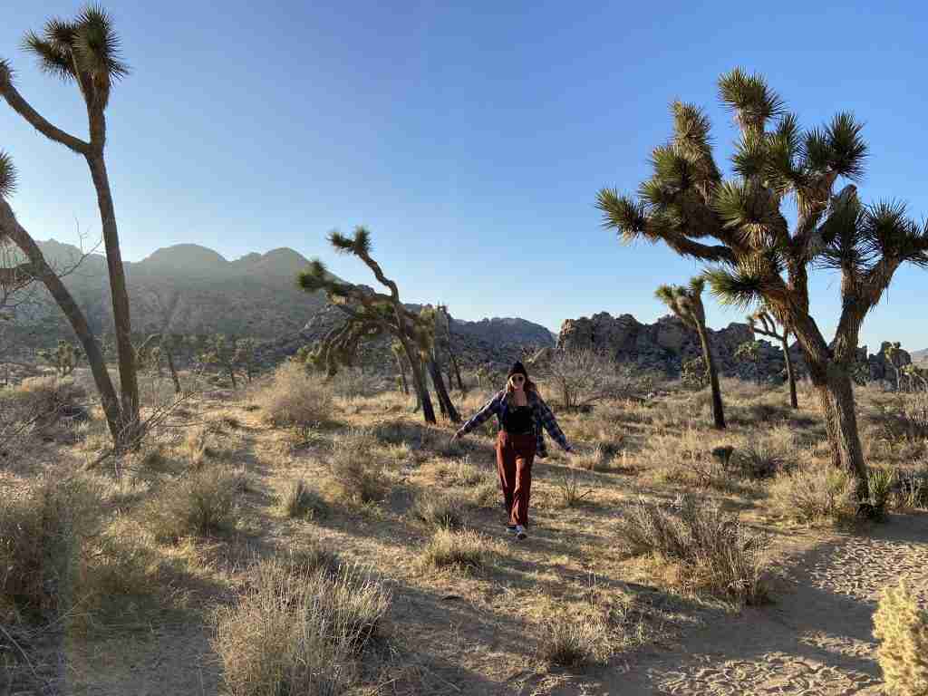things to do in joshua tree national park