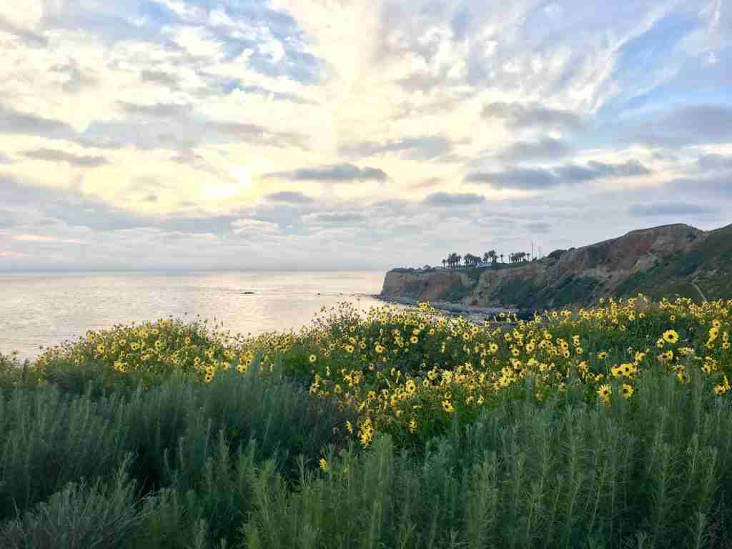bet hikes in palos verdes