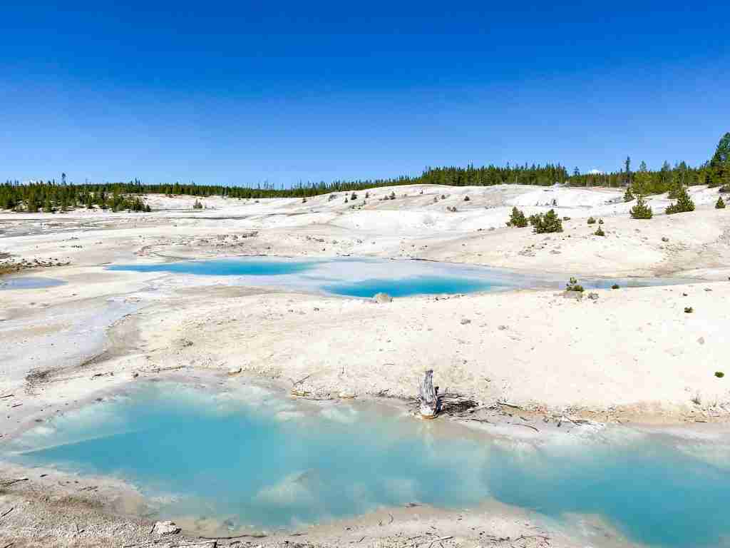 best things to do in yellowstone national park