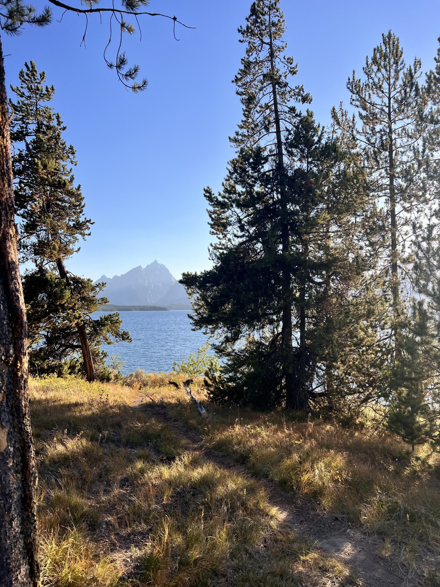 best things to do in grand teton national park