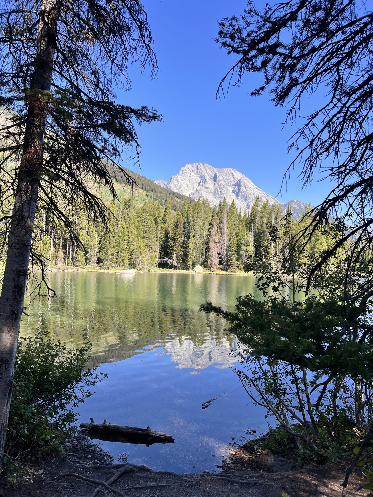 best things to do in grand teton