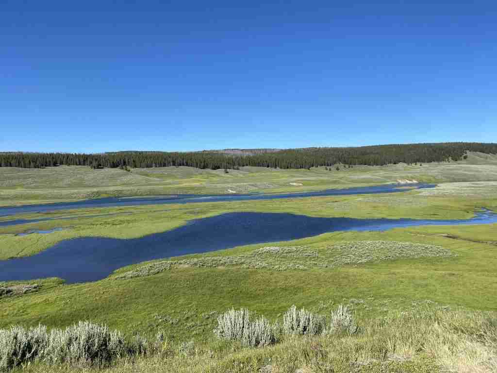 hayden valley