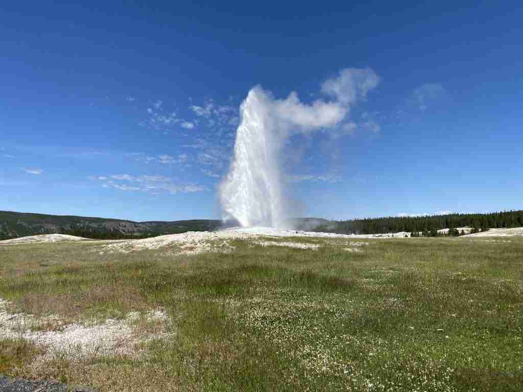 old faithful