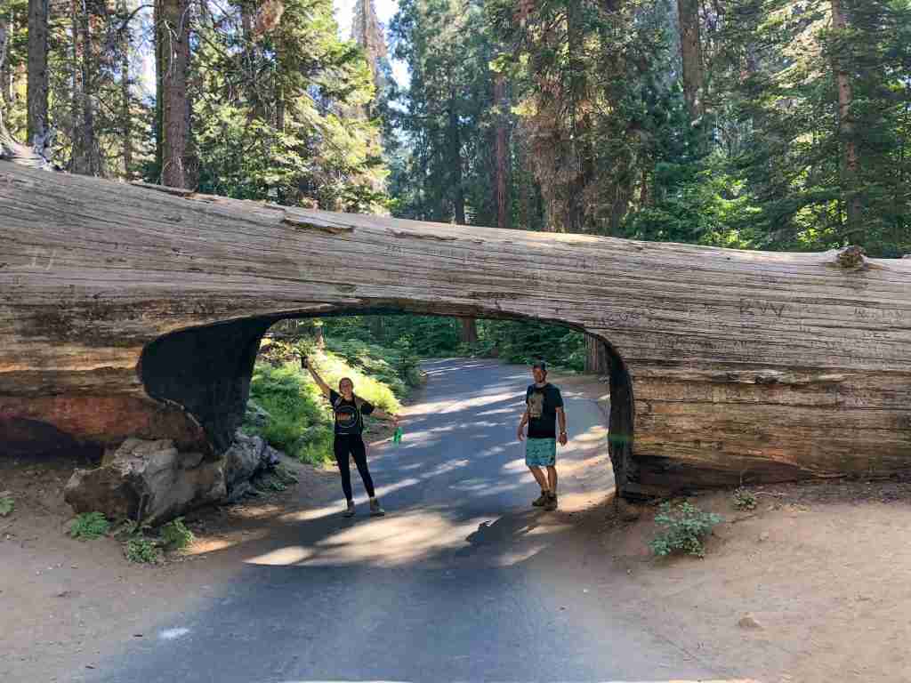 best national parks in the us