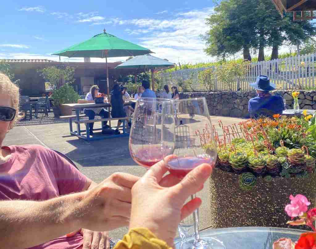 7 Awesome Things to Do in Point Reyes - Ready, Set, PTO