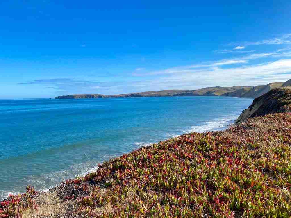 drakes beach point reyes