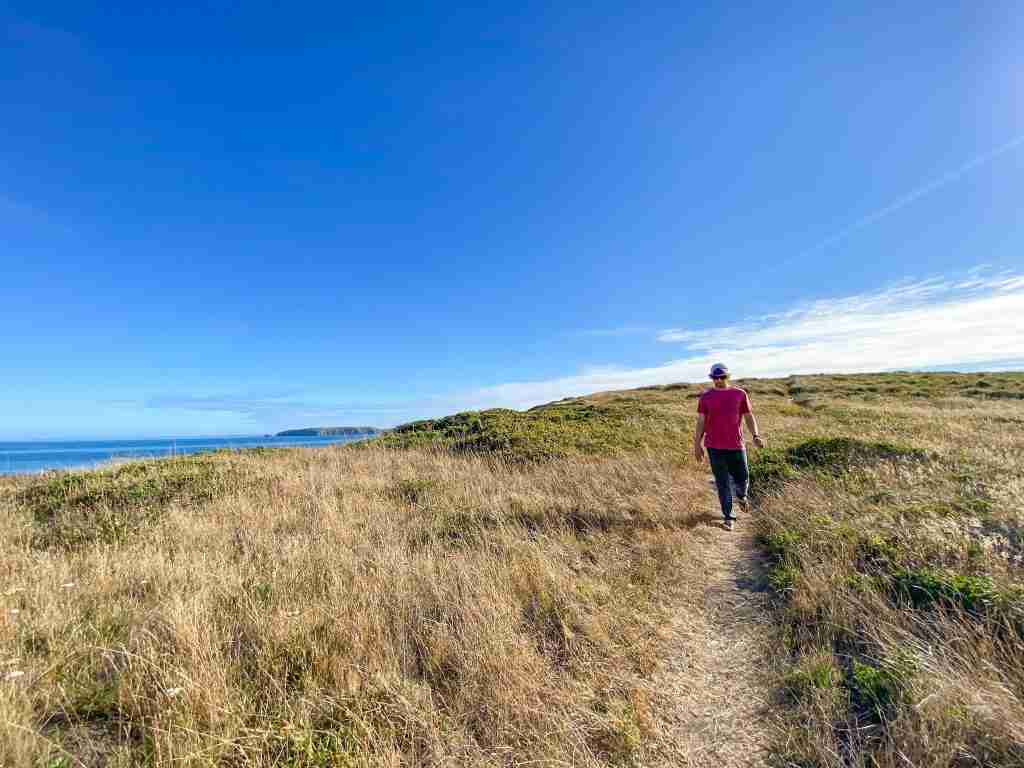 drakes beach point reyes
