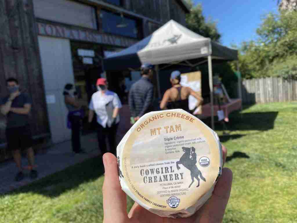cowgirl creamery