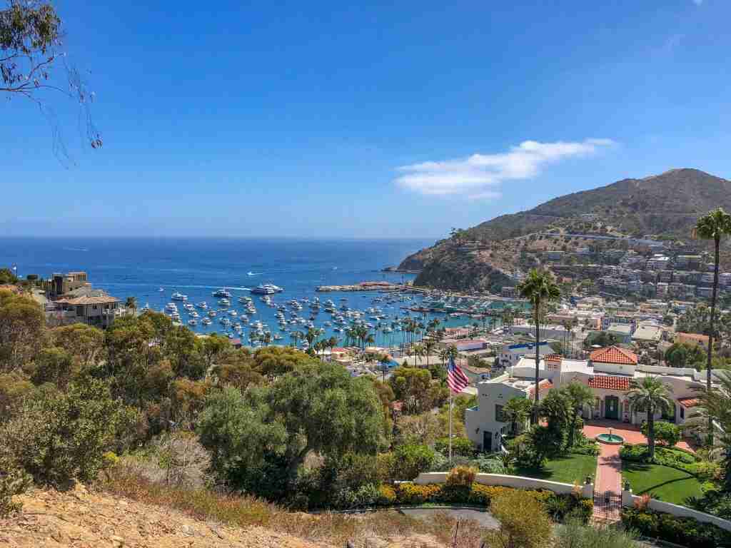 catalina day trip