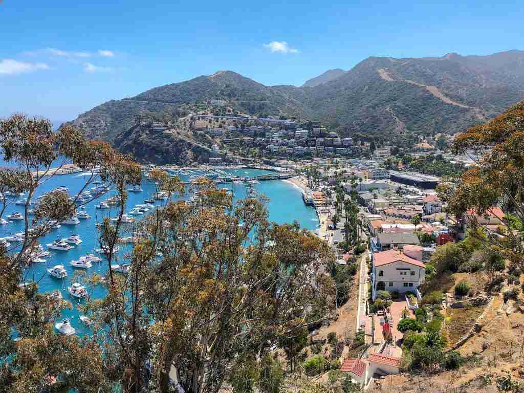 catalina day trip