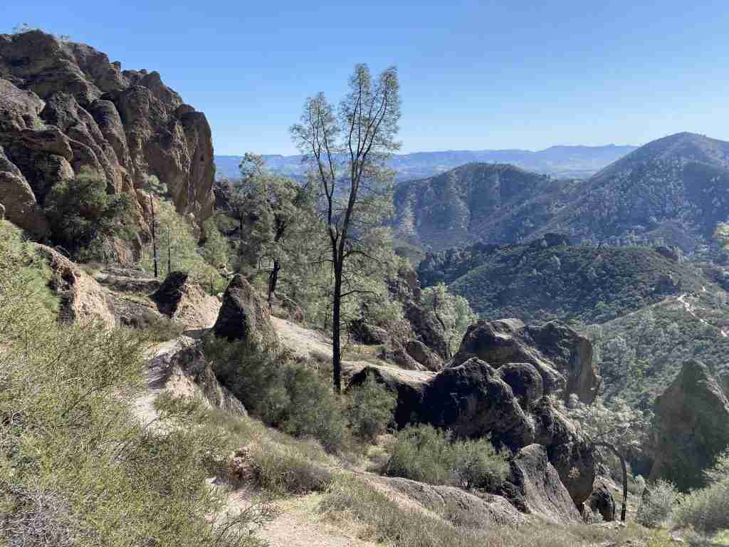 best hikes in pinnacles national park