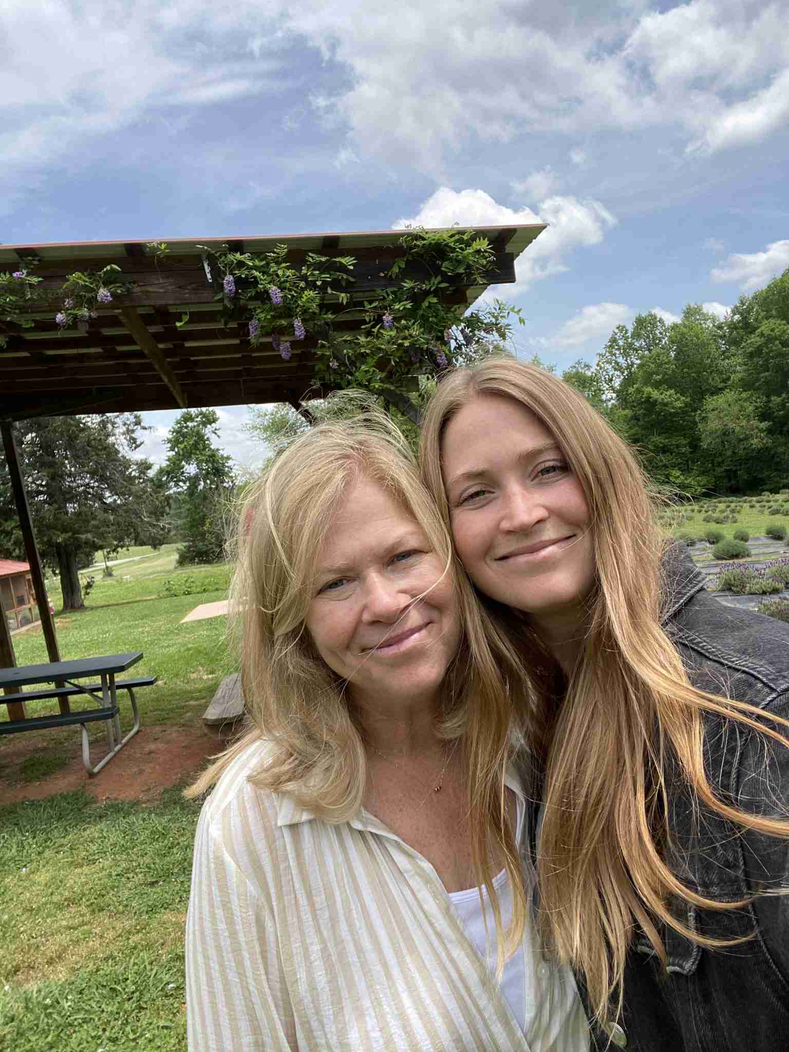 Things to Do in Dahlonega: Visit the Lavender Farm