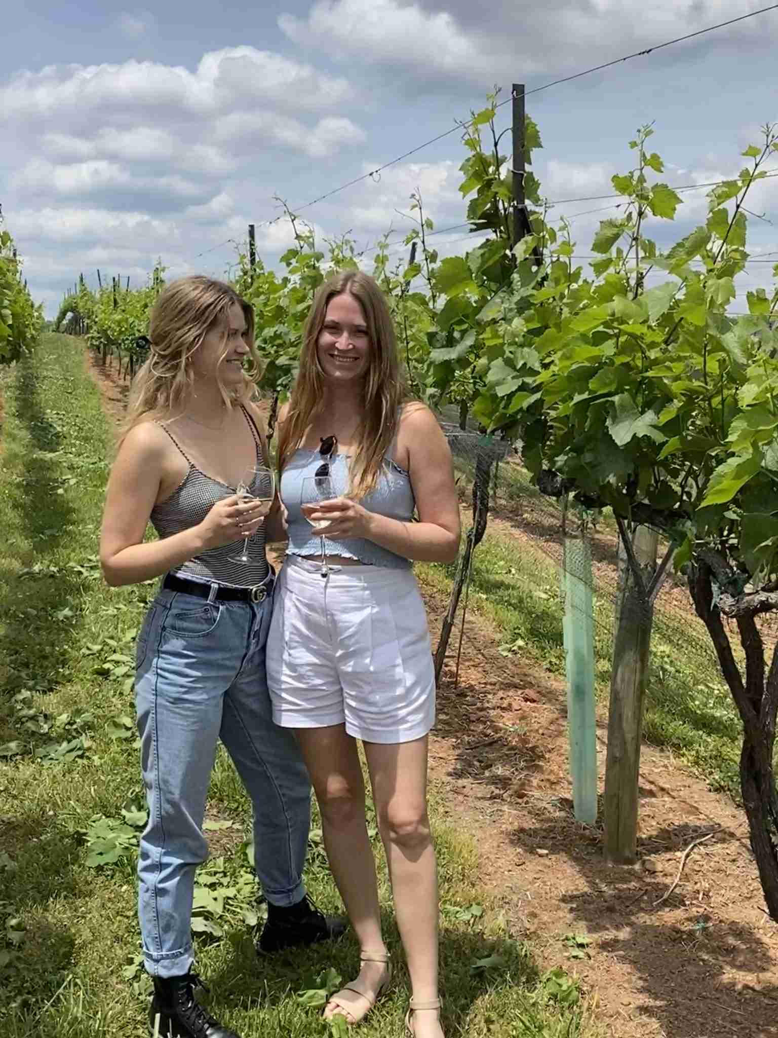 Things to Do in Dahlonega: Wine tasting