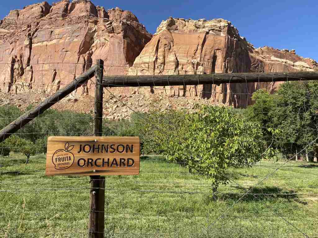 best things to do in capitol reef national park