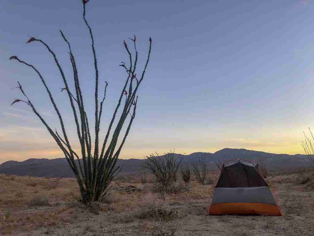 camping in the west coast