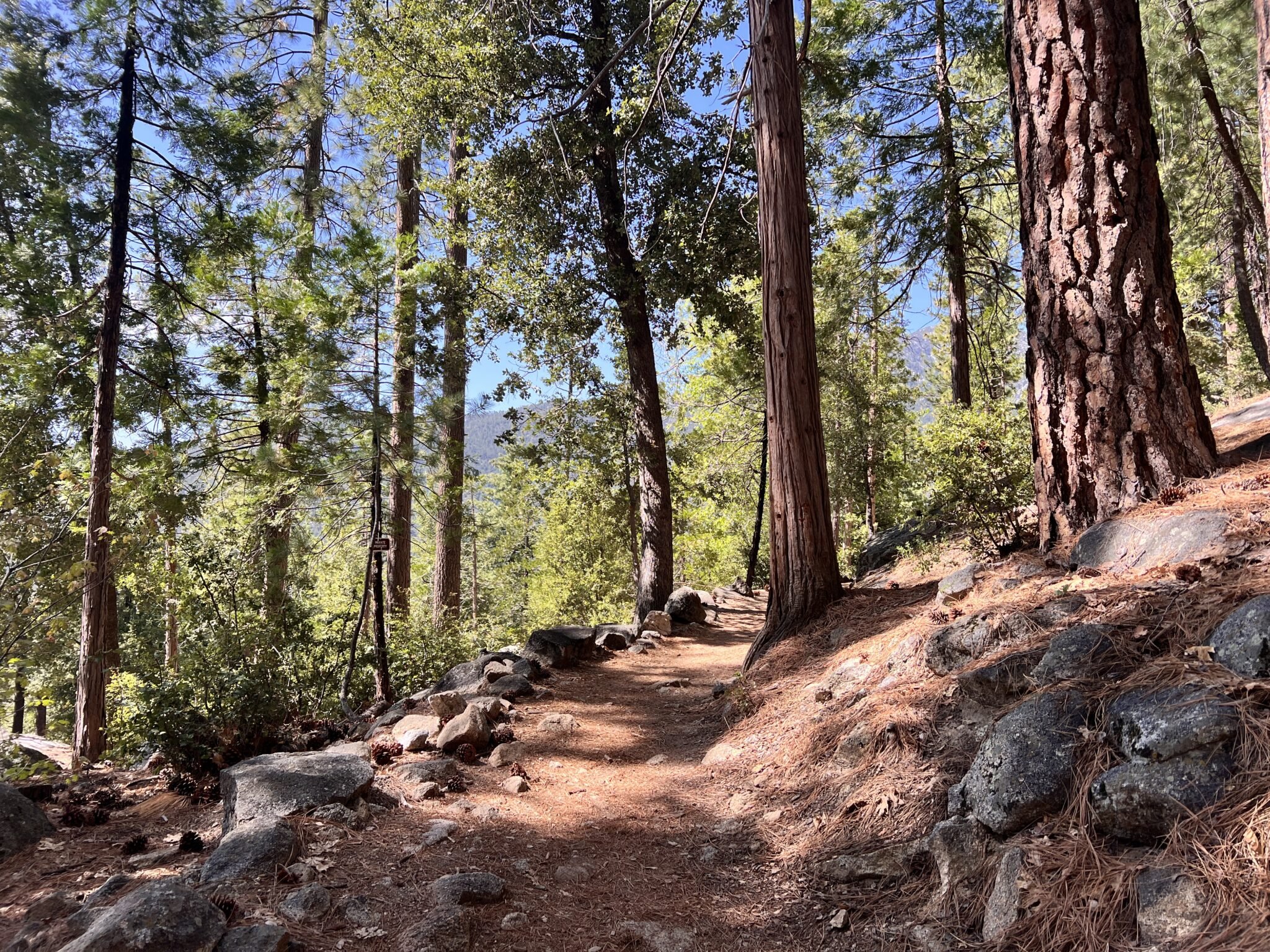 best things to do in idyllwild