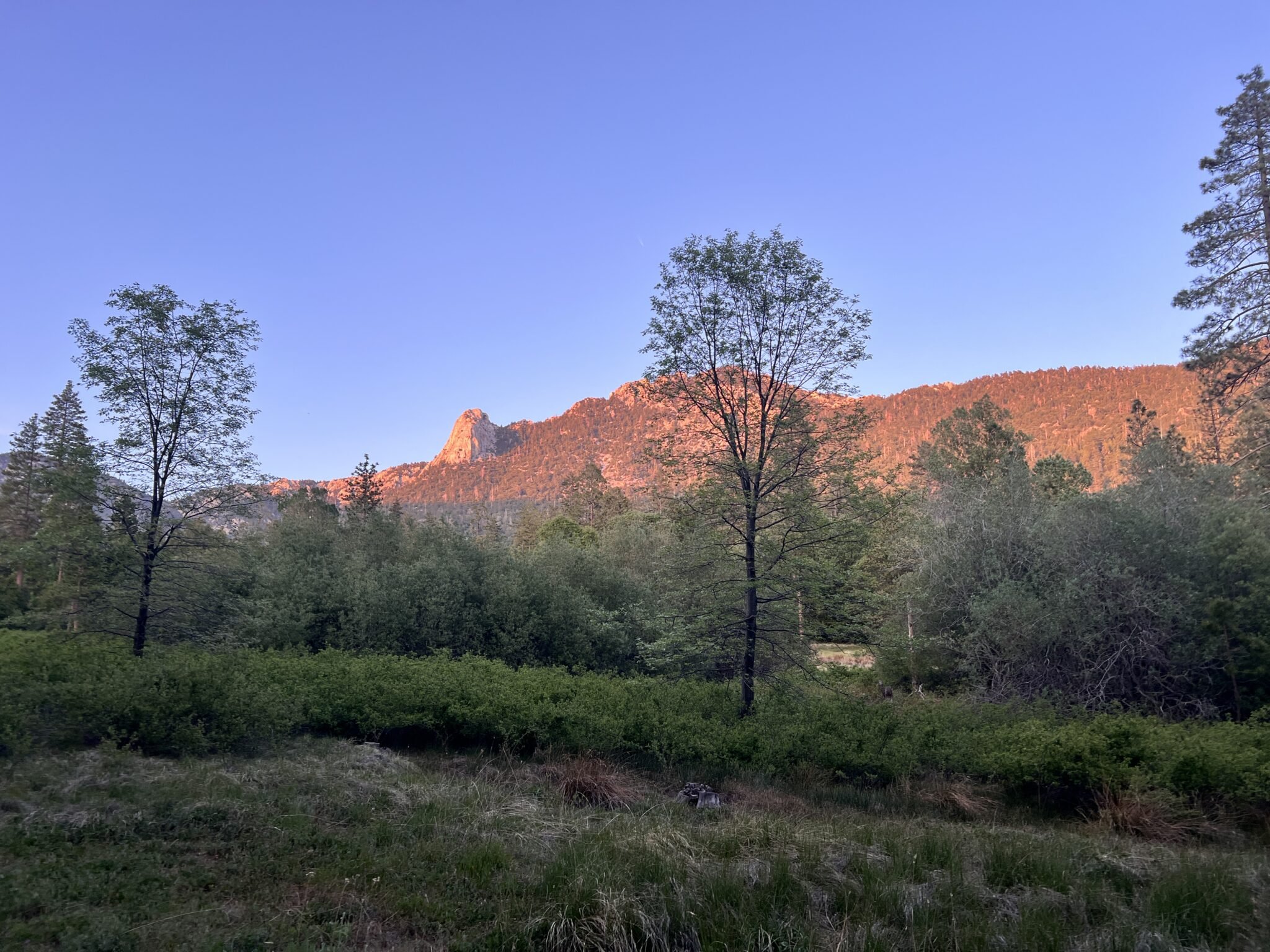 best things to do in idyllwild