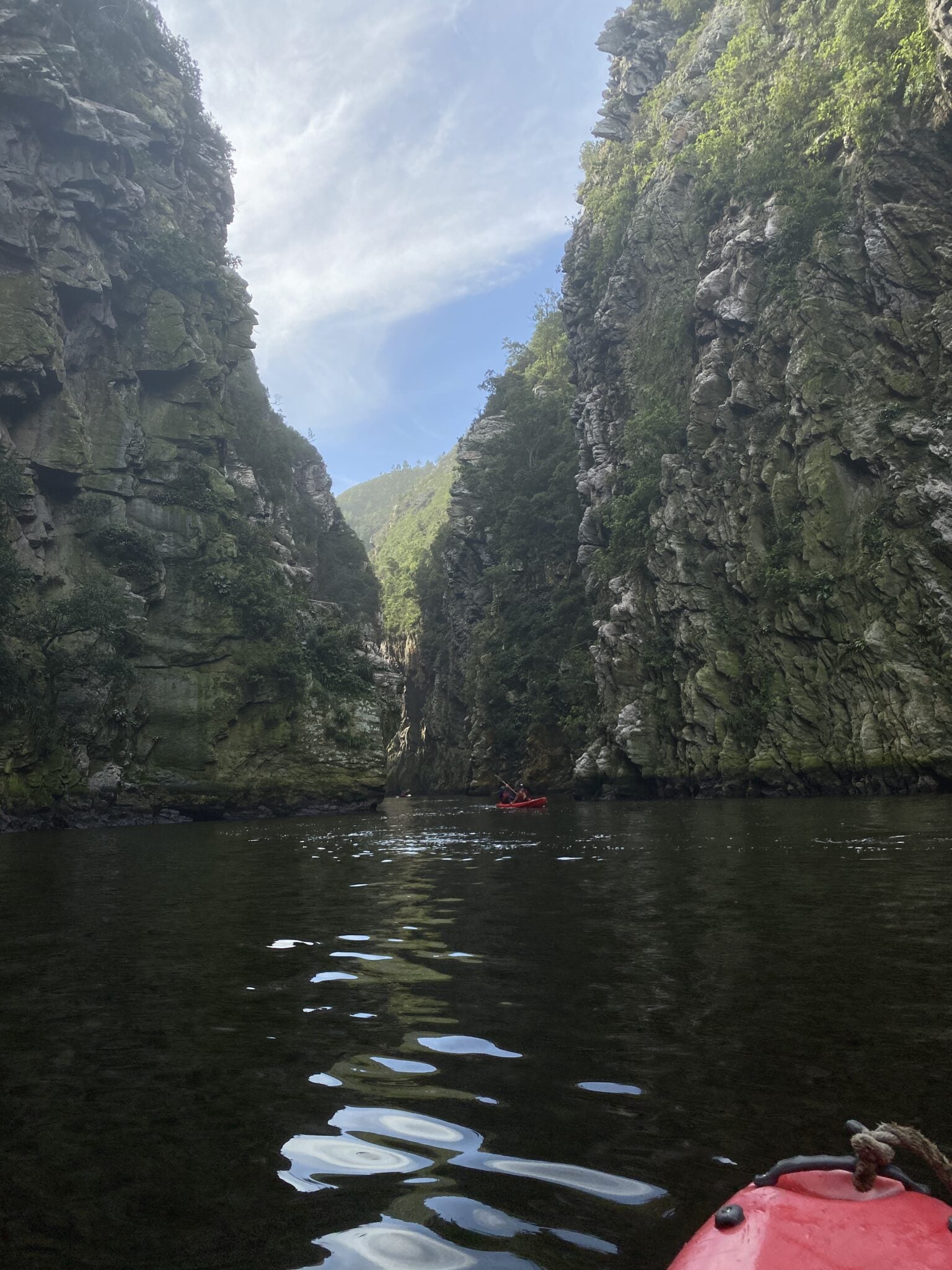 best things to do in plettenberg bay