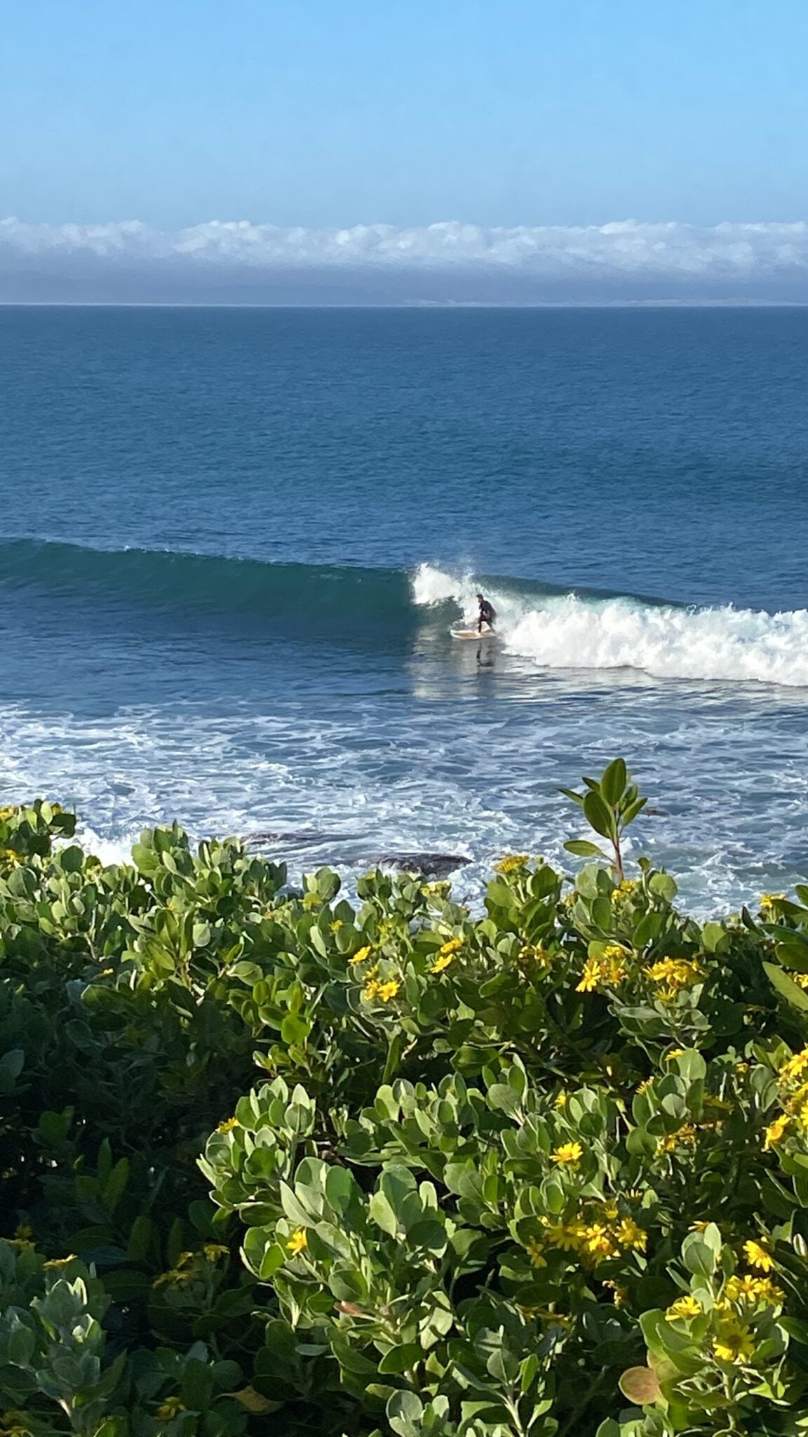 surfing jbay south africa