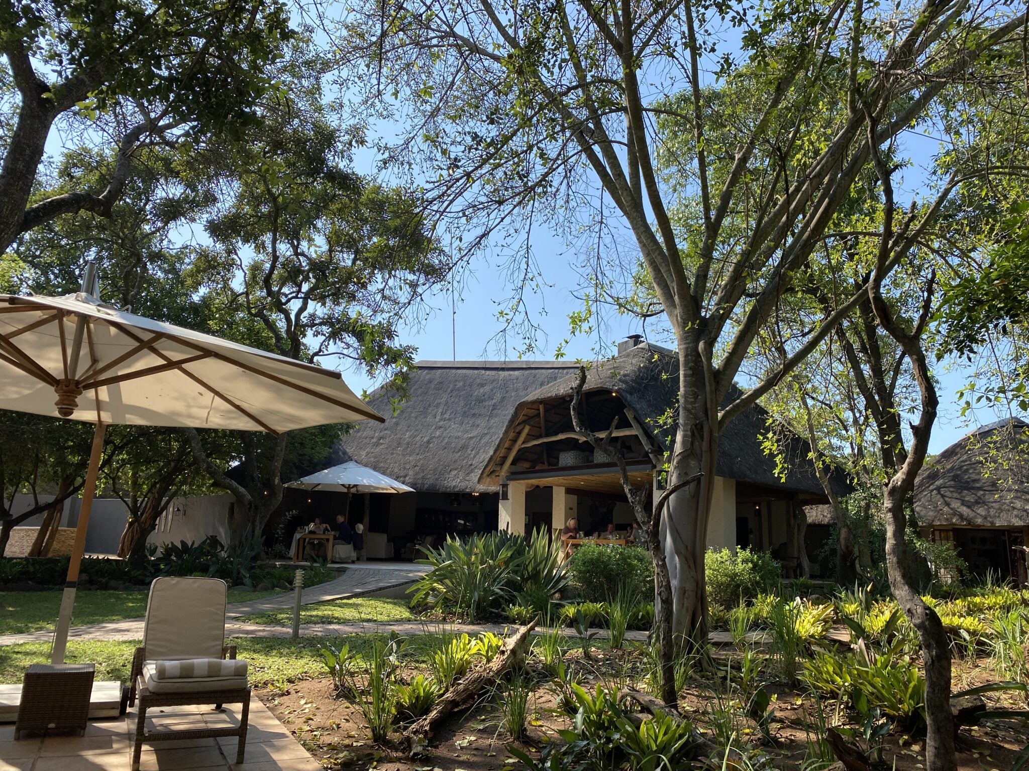 best safari lodge in south africa