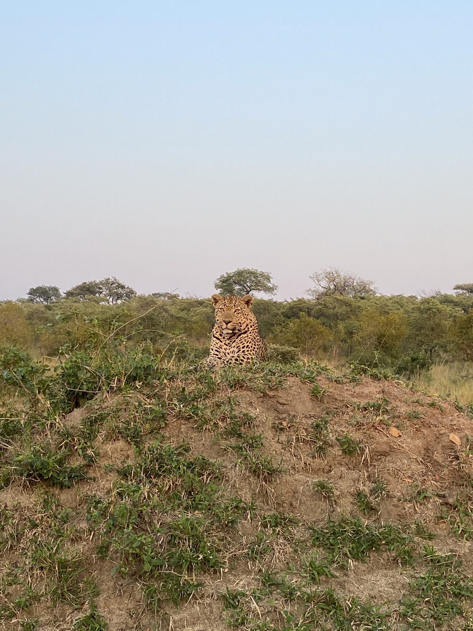 2 weeks south africa itinerary