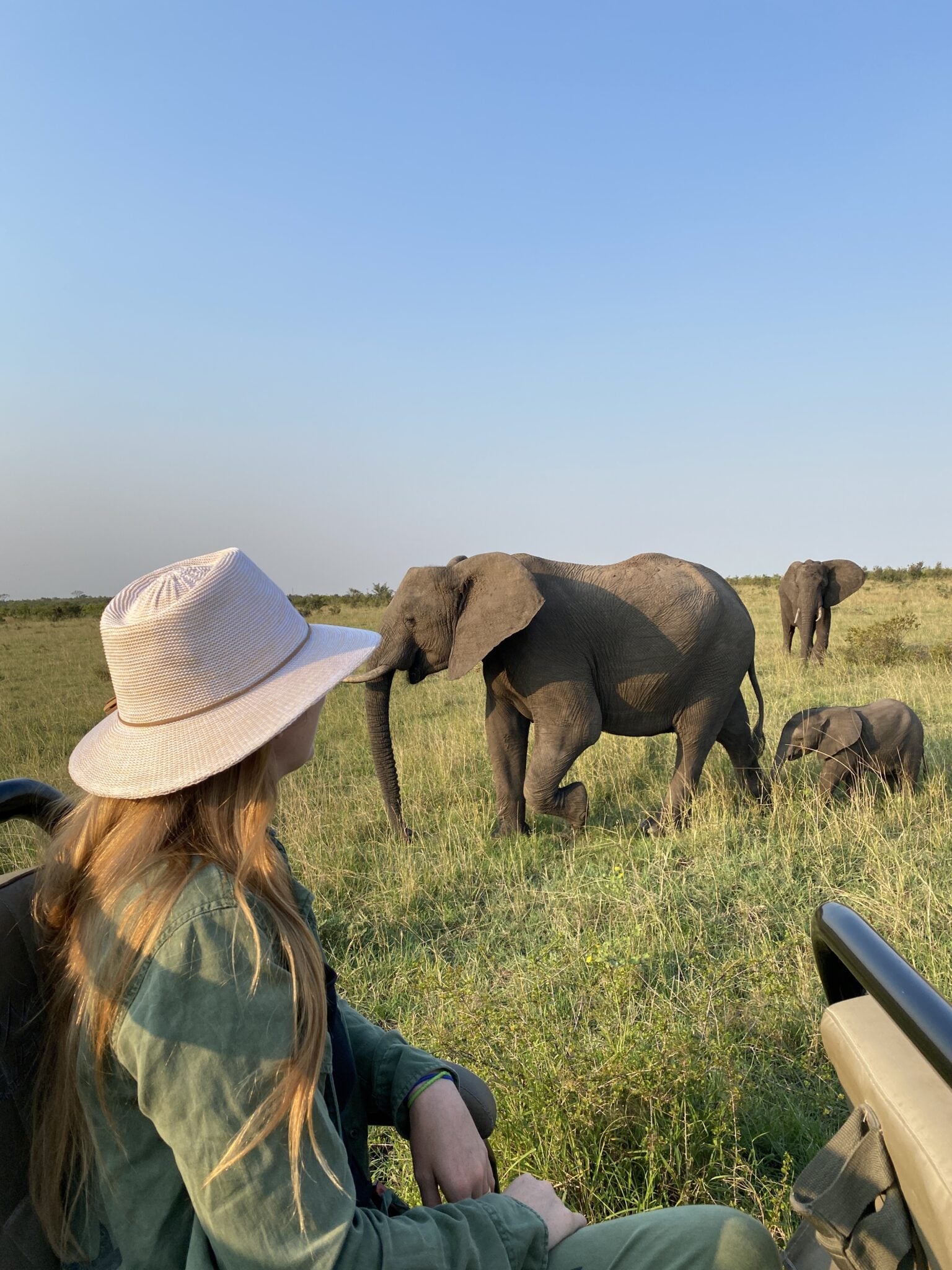 safari game drive sabi sands